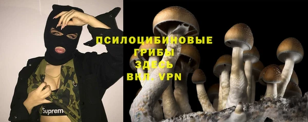 a pvp Вязьма