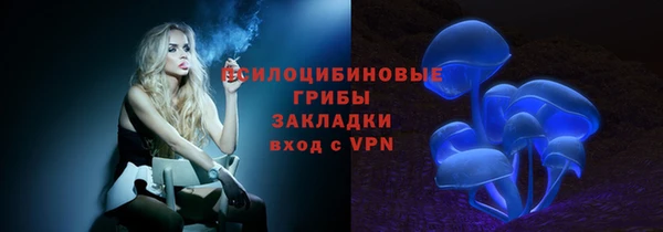 a pvp Вязьма