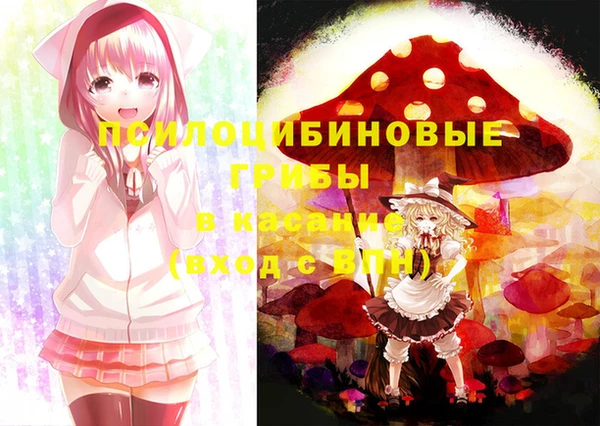 mdma Вяземский