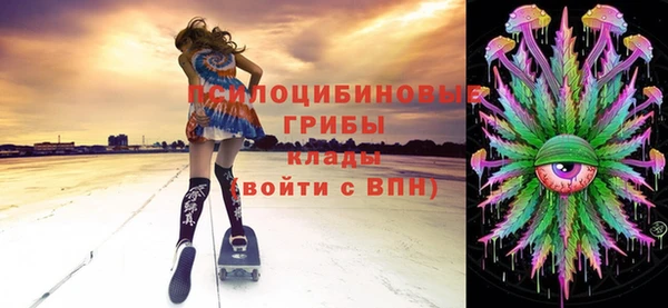 шишки Переславль-Залесский